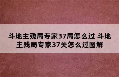 斗地主残局专家37局怎么过 斗地主残局专家37关怎么过图解